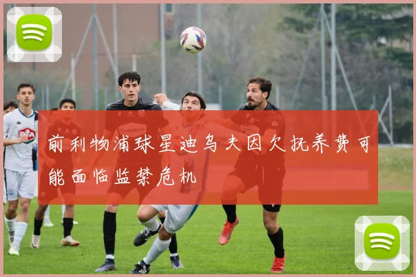 前利物浦球星迪乌夫因欠抚养费可能面临监禁危机