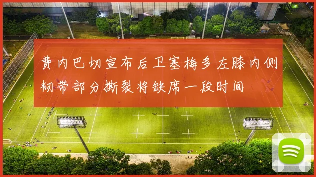 费内巴切宣布后卫塞梅多左膝内侧韧带部分撕裂将缺席一段时间