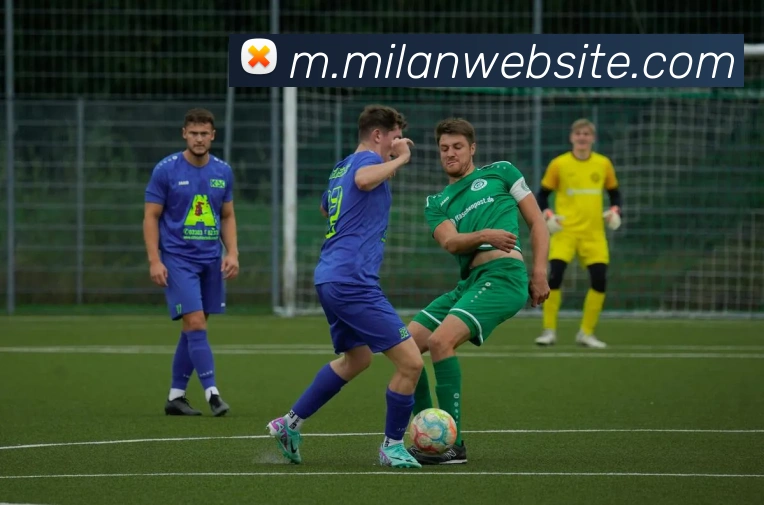 米兰体育APP 封面图