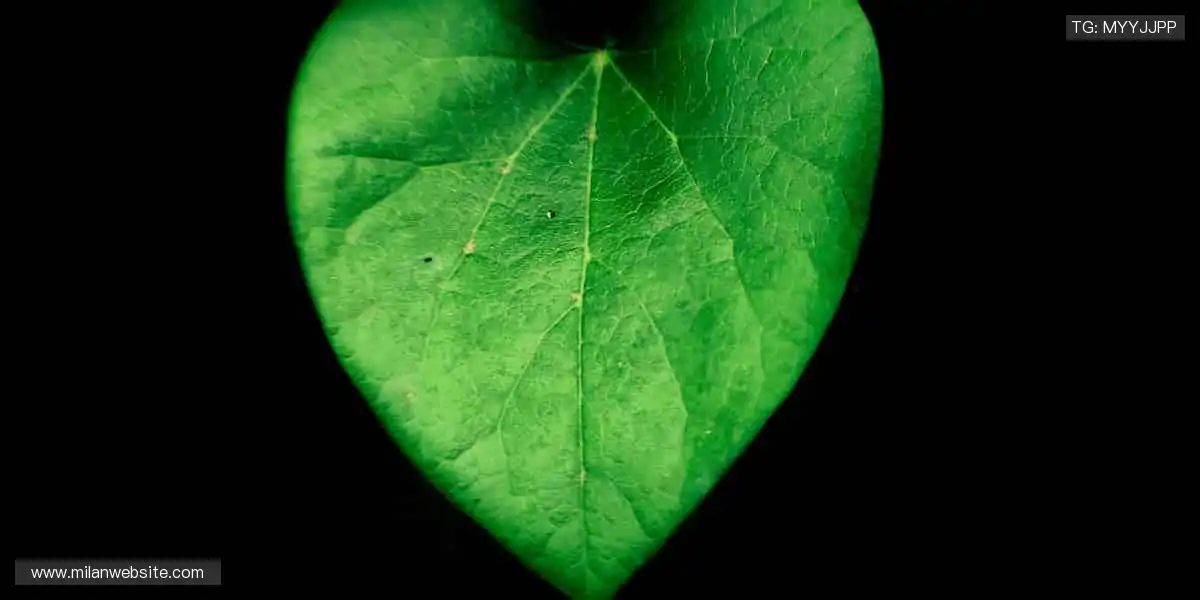 从赛场到生活，热爱不止！🎯 个性周边，让运动精神融入日常！